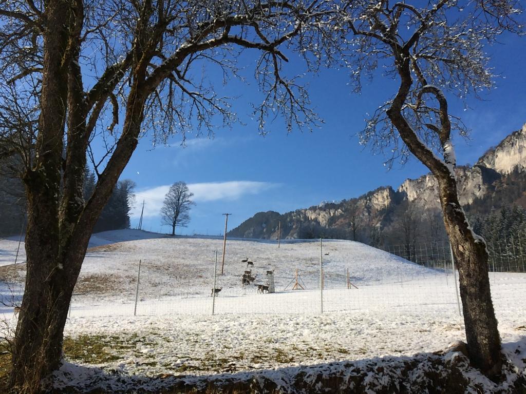 Berghof Haselsberger Hotel St. Johann in Tirol Eksteriør billede
